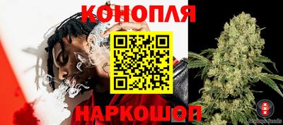 jwh Гусев