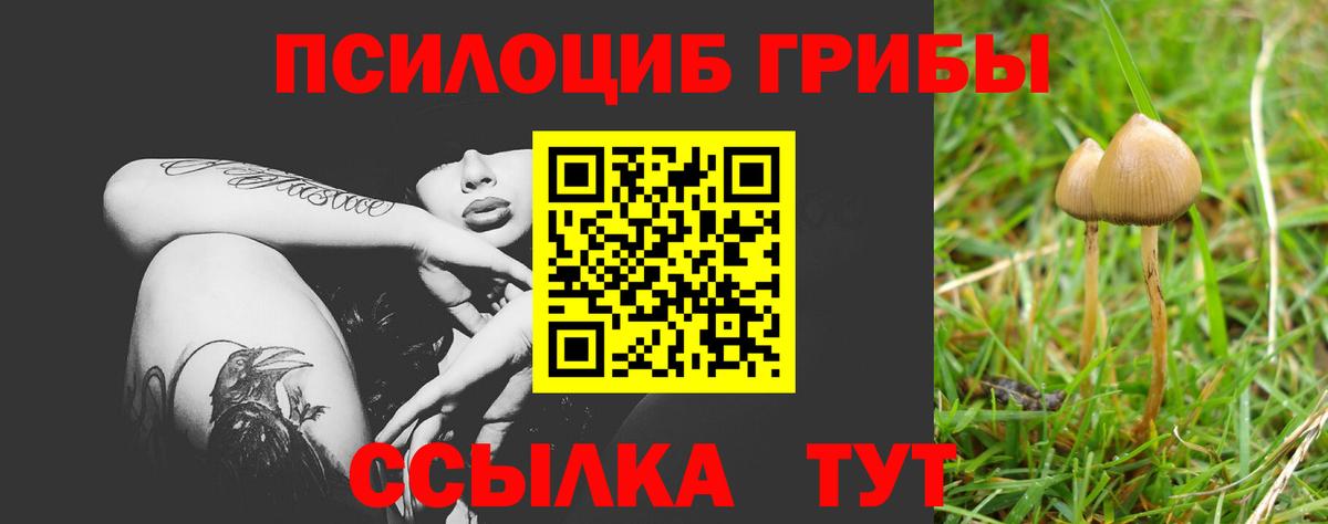 наркошоп  Галлюциногенные грибы Cubensis  Псилоцибиновые грибы мухоморы  Вход с VPN  Арзамас 